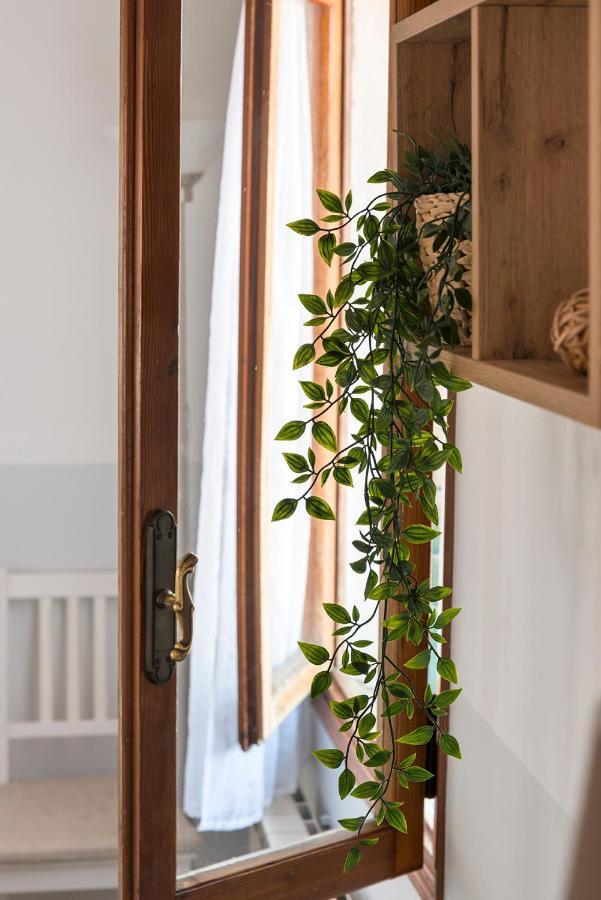 Colombina Like At Home 3 Bedrooms Fully Equipped Air Conditioned Венеція Екстер'єр фото